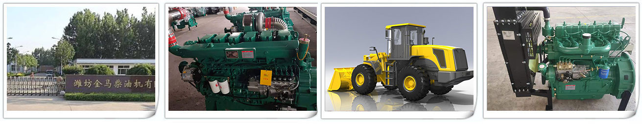 潍坊金马柴油机有限公司